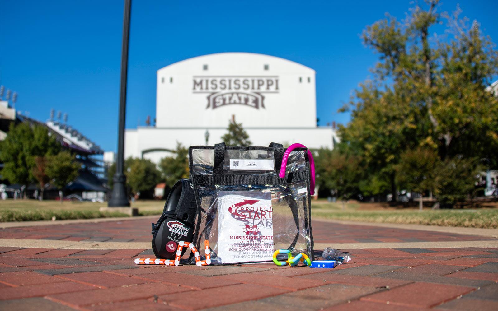 Sensory bags MSU